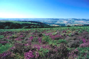 Exmoor self catering holiday cottages,Exford,self-catering cottage,accommodation,cottage holidays Exmoor, family holidays,country,weekend breaks,Somerset